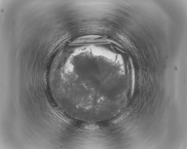 X0000087020258200705141904