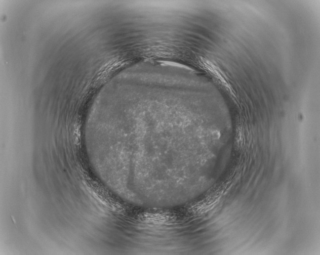 X0000087020259200705141904