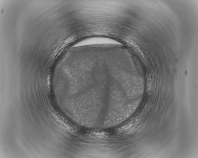 X0000087020260200705141904