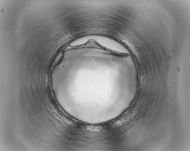 X0000087020261200705141904