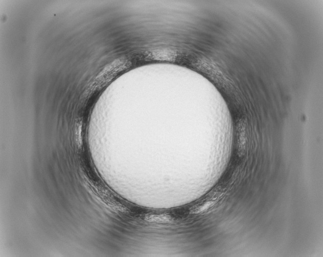 X0000087020262200705141904