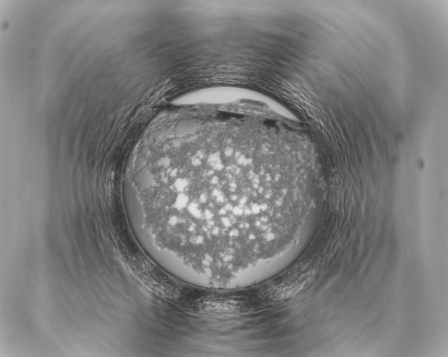 X0000087020263200705141904