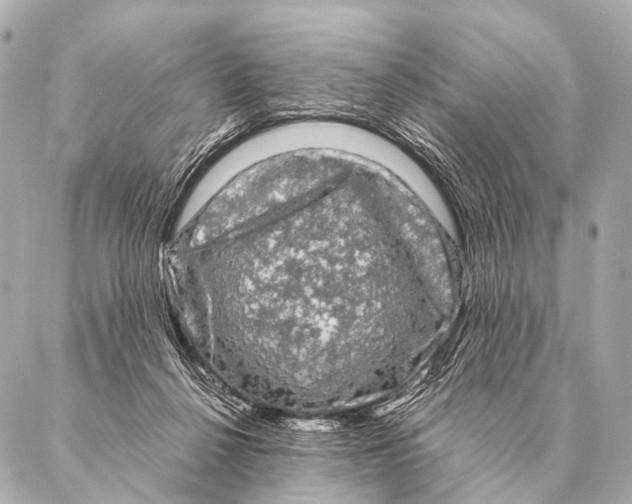 X0000087020264200705141904