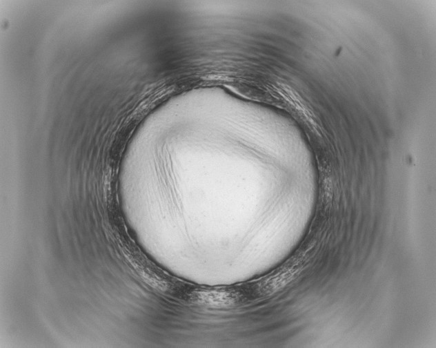 X0000087020265200705141904