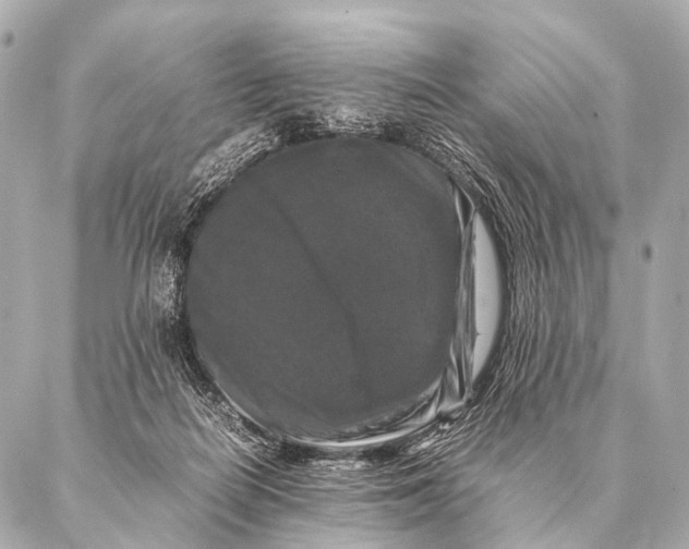 X0000087020266200705141904