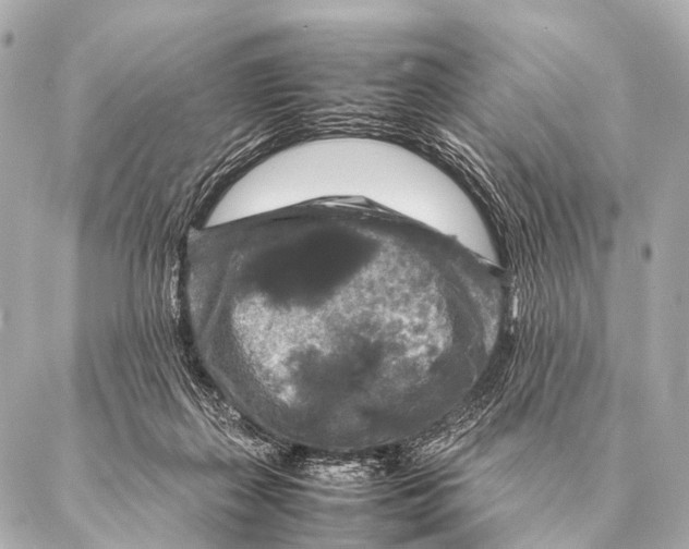 X0000087020267200705141904