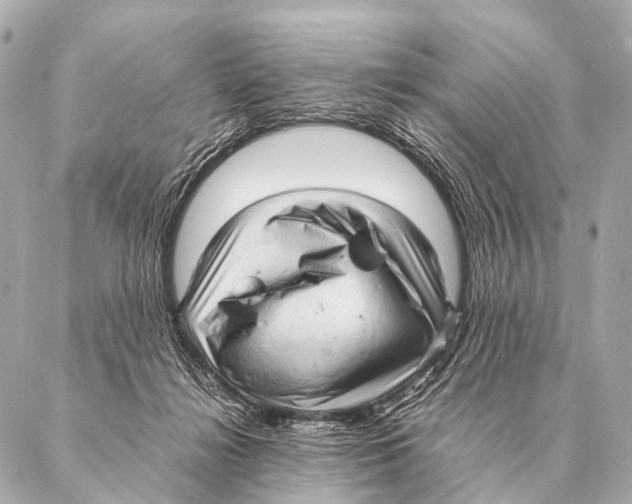 X0000087020268200705141904