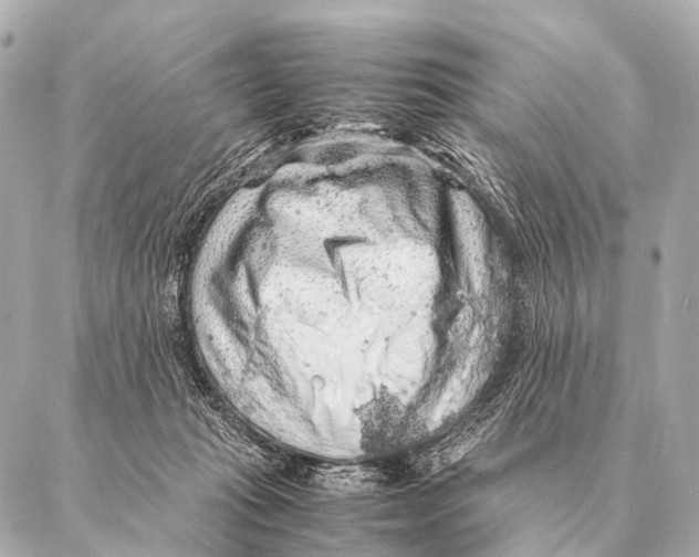 X0000087020269200705141904