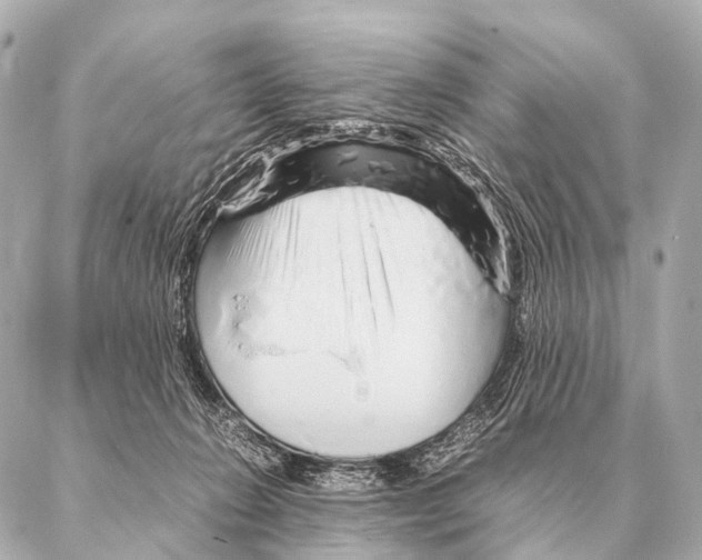 X0000087020270200705141904