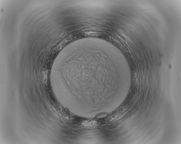 X0000087020271200705141904