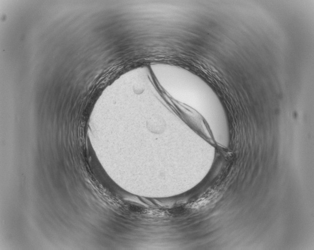 X0000087020272200705141904