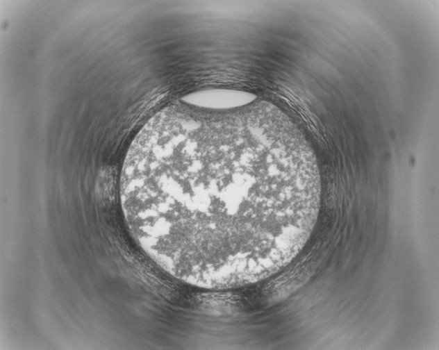 X0000087020273200705141904