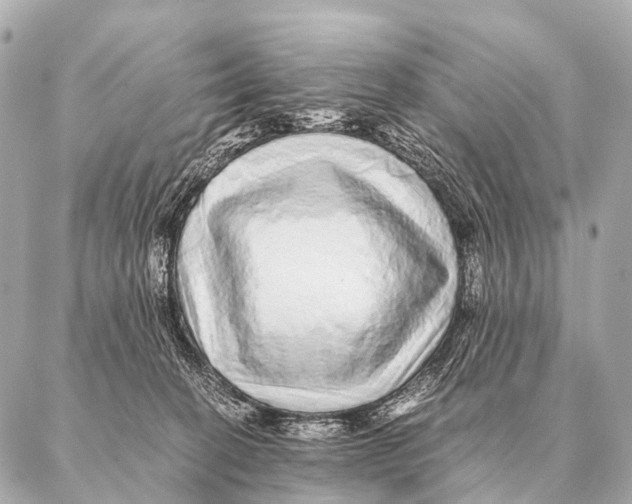 X0000087020274200705141904