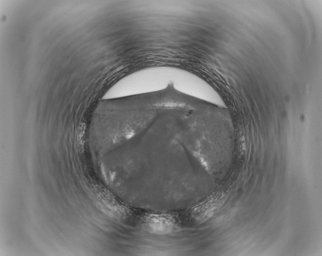 X0000087020275200705141904