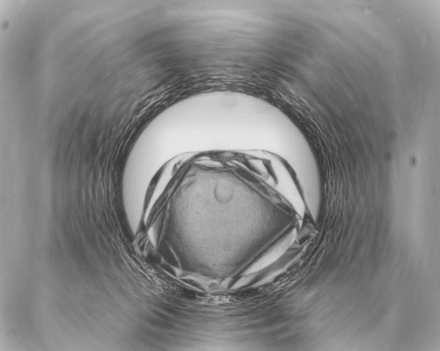 X0000087020276200705141904