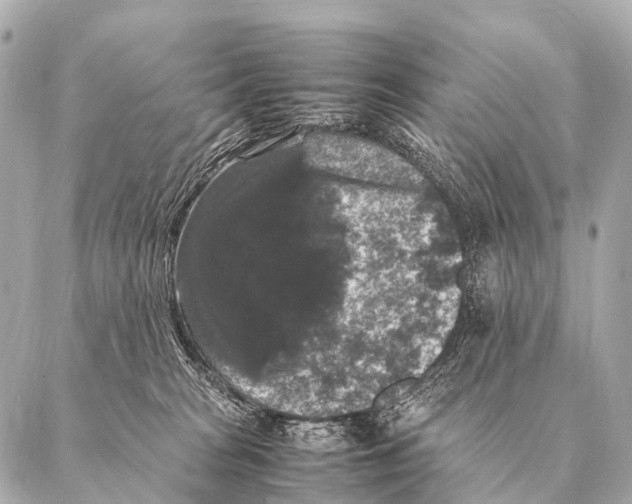 X0000087020277200705141904