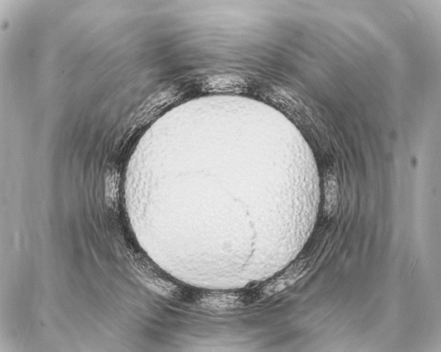 X0000087020278200705141904