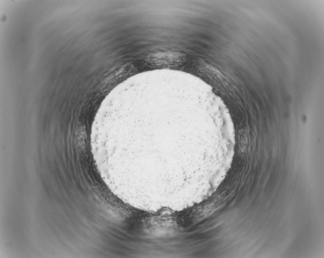 X0000087020279200705141904