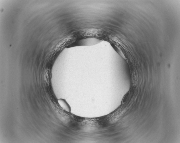 X0000087020280200705141904