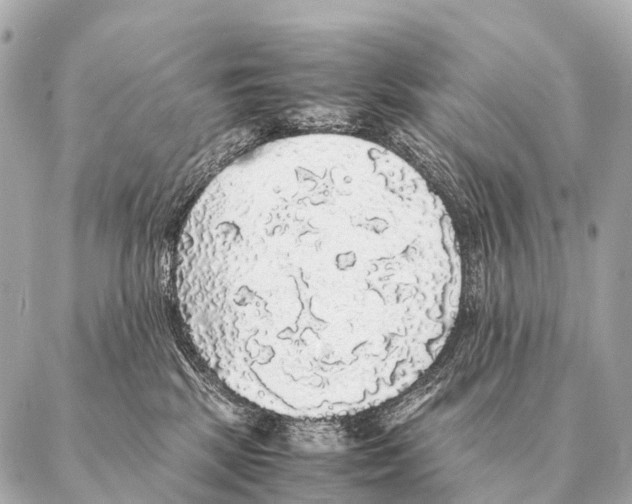 X0000087020281200705141904