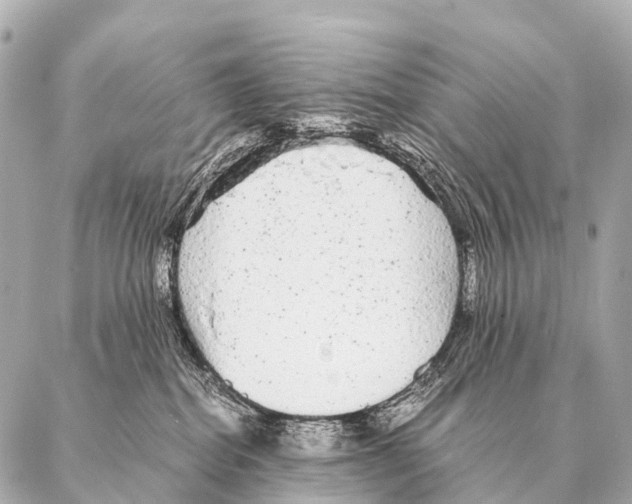 X0000087020282200705141904