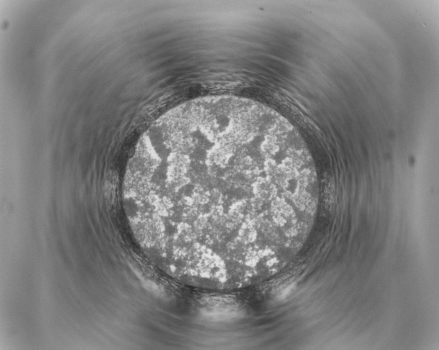 X0000087020283200705141904