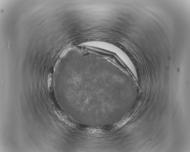 X0000087020284200705141904