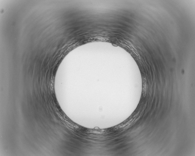 X0000087020285200705141904