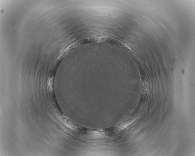 X0000087020286200705141904