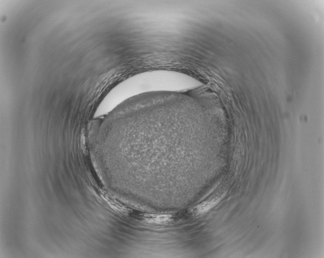 X0000087020288200705141904