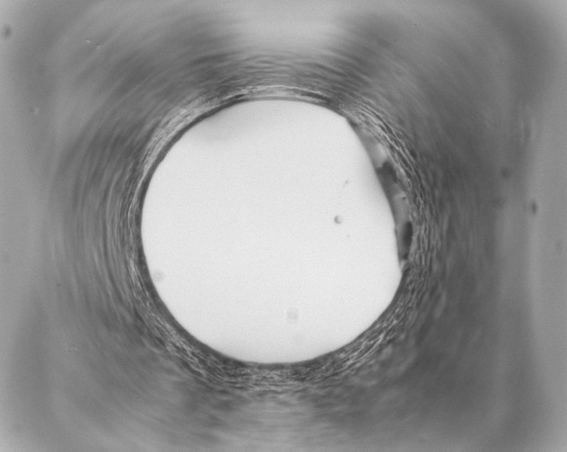 X0000087020289200705141903