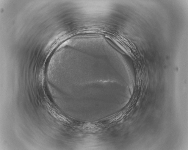 X0000087020290200705141903