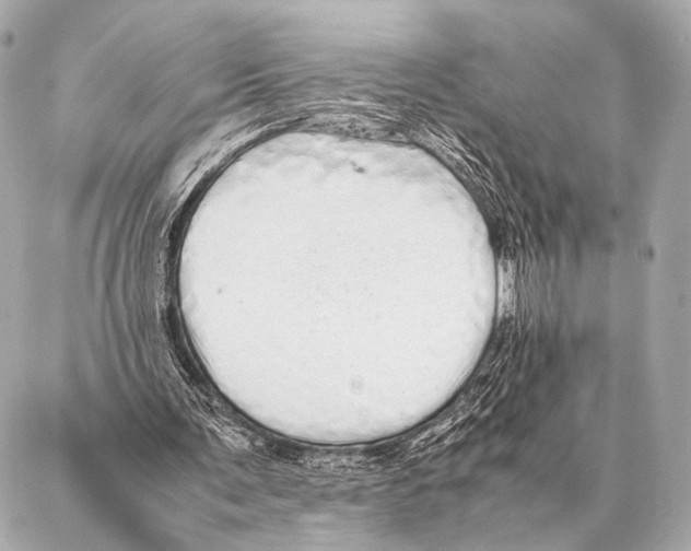 X0000087020291200705141903