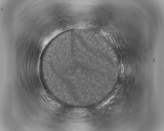 X0000087020292200705141903