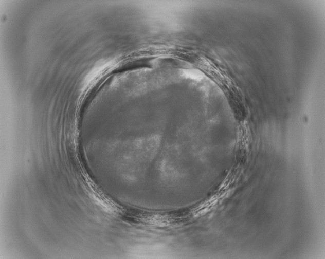 X0000087020293200705141903