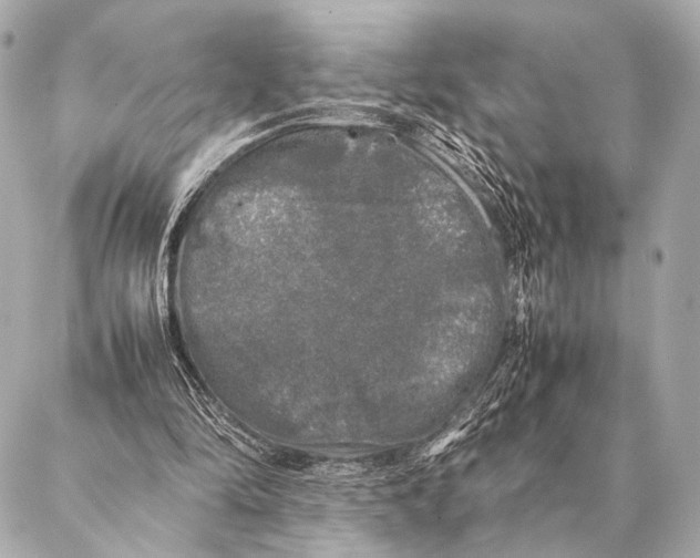 X0000087020294200705141903