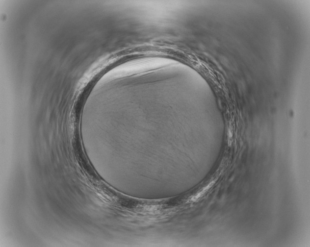 X0000087020295200705141903