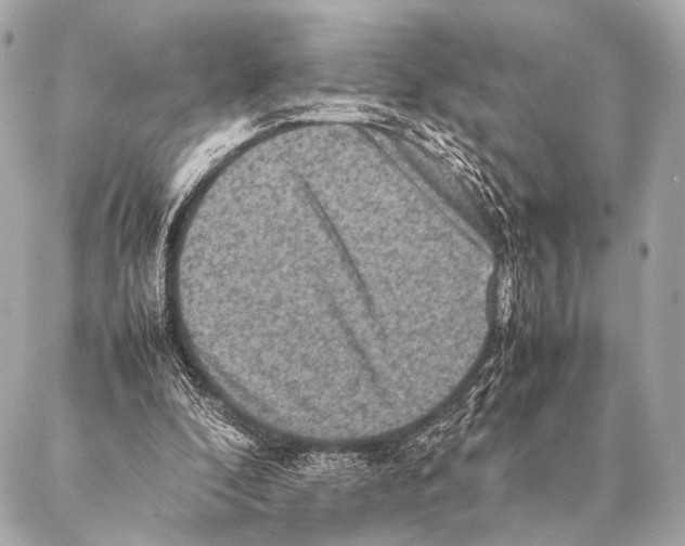 X0000087020296200705141903