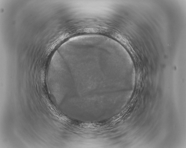 X0000087020297200705141903