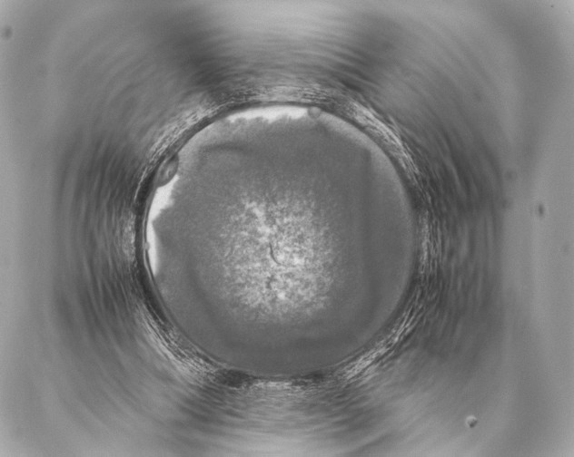 X0000087020298200705141903