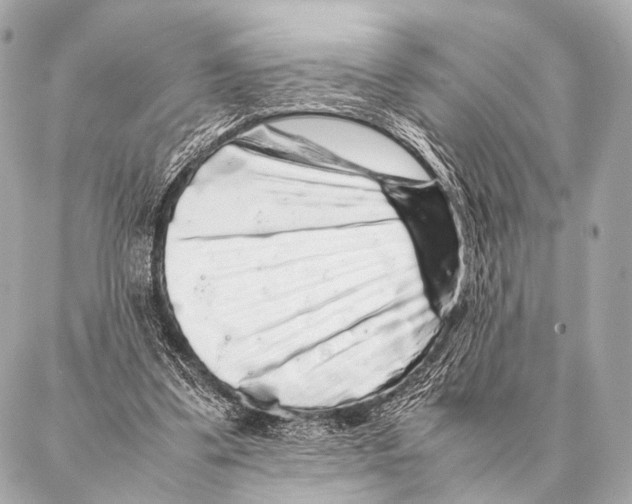 X0000087020299200705141903