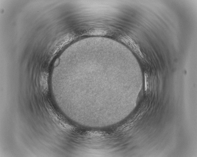 X0000087020300200705141903