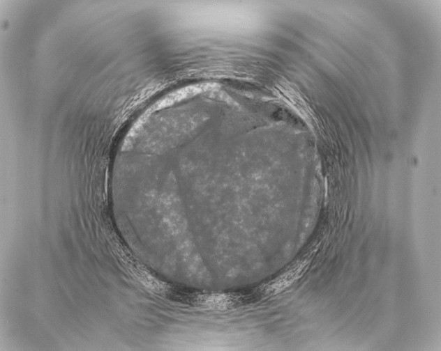 X0000087020301200705141903