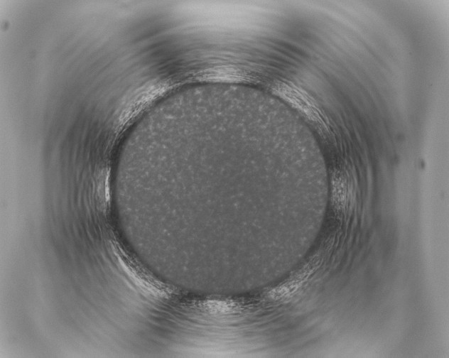 X0000087020302200705141903