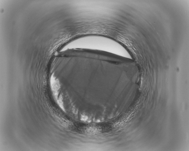 X0000087020303200705141903