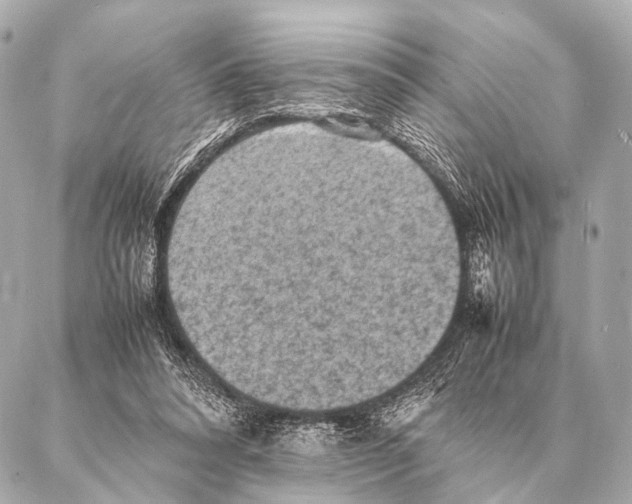 X0000087020304200705141903