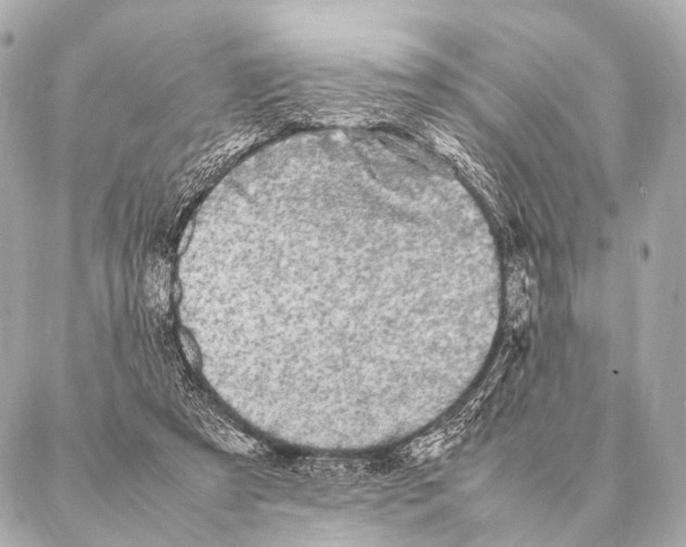 X0000087020305200705141903