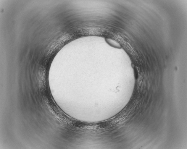 X0000087020306200705141903