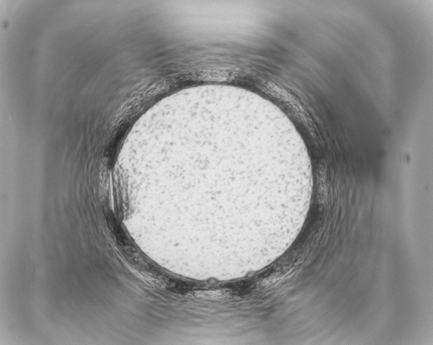 X0000087020307200705141903