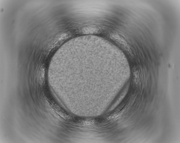 X0000087020308200705141903